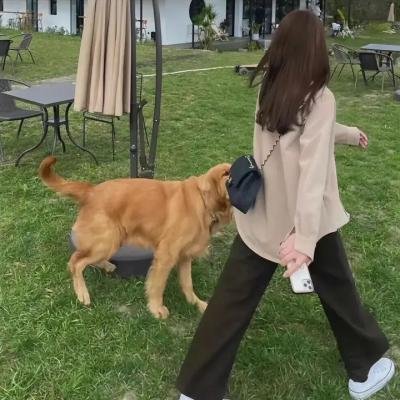 长辈有交代